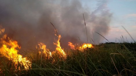 Incendio en la Reserva de Otamendi: colaboran bomberos de Escobar