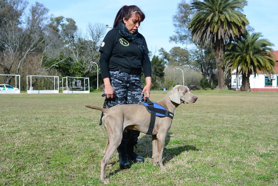 La División Canina de Escobar, clave en el esclarecimiento de un femicidio en San Pedro
