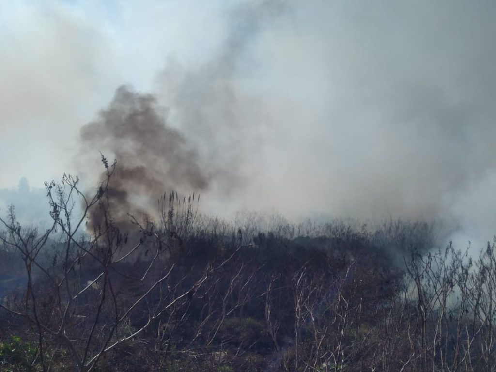 Voraz incendio en el basural de la ex fábrica Dacunto