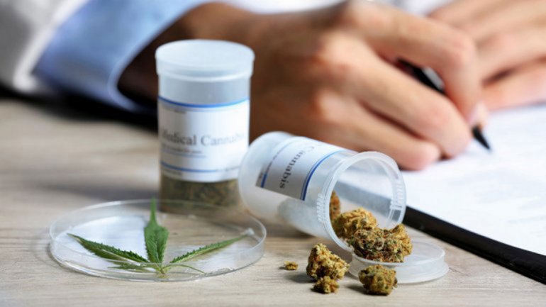 Jornadas sobre cannabis medicinal en el Teatro Seminari