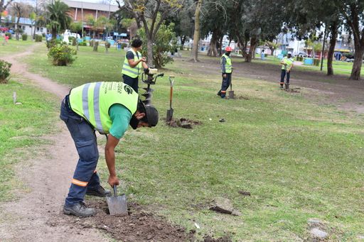 Medio ambiente: plantan 160 árboles alrededor de una plaza en Garín