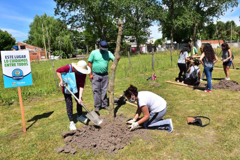 Se plantaron 180 árboles autóctonos en las distintas localidades de Escobar