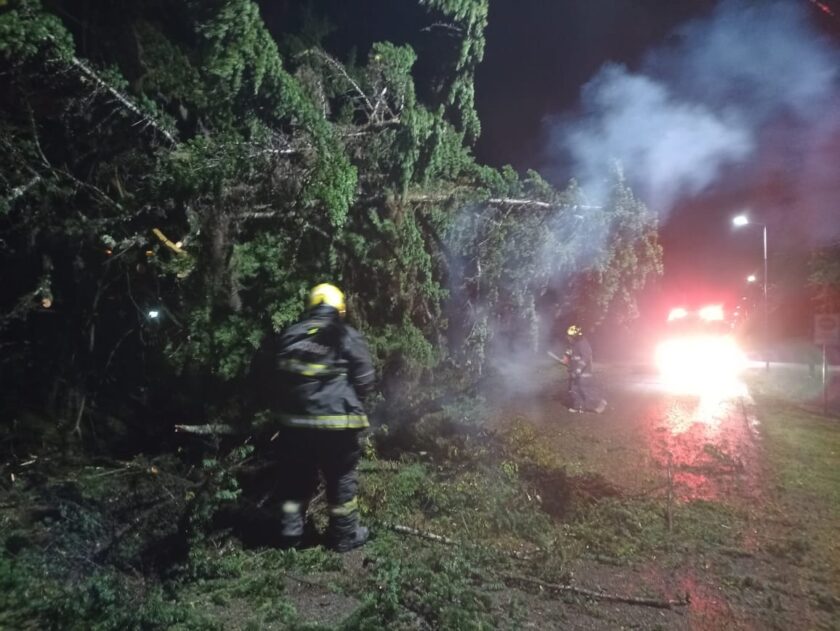 El temporal dejó postes y árboles caídos en distintos puntos de Escobar