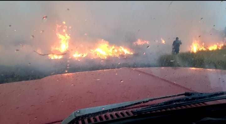 Dos dotaciones de bomberos combatieron durante 4 horas un voraz incendio forestal