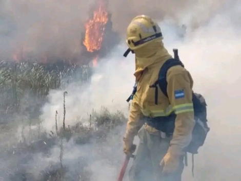 Luego de 5 días de combate contra el fuego, extinguen el incendio en el Parque Ciervo de los Pantanos